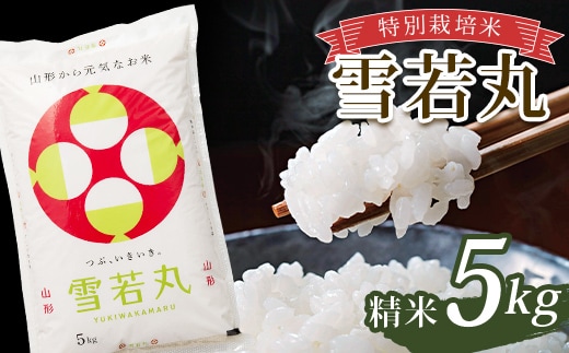 令和7年産 特別栽培米 雪若丸 (精米) 5kg 山形県南陽市産 米 白米 ご飯 農家直送 山形県 南陽市 [2365-A]