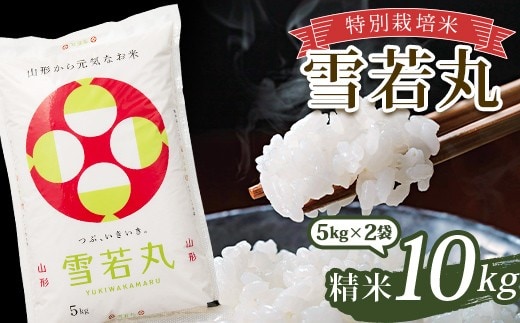 令和7年産 特別栽培米 雪若丸 (精米) 10kg (5kg×2袋) 山形県南陽市産 米 白米 ご飯 農家直送 山形県 南陽市 [1093-A]