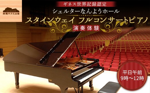 スタインウェイ フルコンサートピアノ 演奏体験 平日午前 『シェルターなんようホール』 ギネス世界記録認定ホール 山形県 南陽市 [2719]