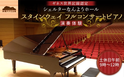 スタインウェイ フルコンサートピアノ 演奏体験 土休日午前 『シェルターなんようホール』 ギネス世界記録認定ホール 山形県 南陽市 [2722]