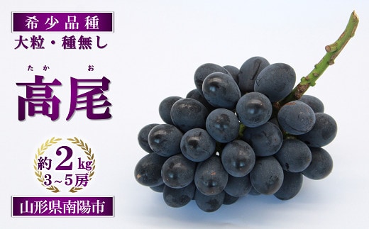 【令和9年産先行予約】 希少品種の黒系ぶどう 「高尾」 約2kg (3～5房 秀) 《令和9年9月頃～発送》 『南陽中央青果市場』果物 フルーツ デザート 山形県 南陽市 [1043-R9]