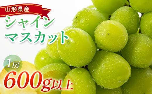 【令和9年産先行予約】 シャインマスカット 600g以上 (1房 秀) 《令和9年9月頃～発送》 『南陽中央青果市場』 マスカット ぶどう 果物 フルーツ デザート 山形県 南陽市 [1206-R9]