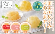【日本の極み】 果実のめぐみそのままゼリー 3種 「りんご、ラ・フランス、白桃」 10個セット 山形県 南陽市 [1261]