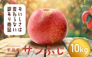 【令和8年産先行予約】 〈訳あり品 家庭用〉 りんご 「サンふじ」 約10kg バラ詰め 《令和8年12月上旬～令和9年2月下旬発送》 『カネタ高橋青果』 リンゴ 山形県 南陽市 [1959]