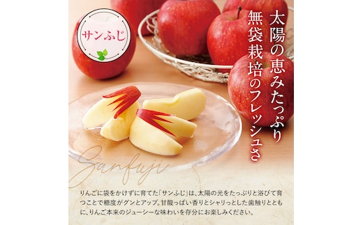 令和8年産先行予約】 りんご 「サンふじ」 約5kg (13～20玉 特秀 L～5L