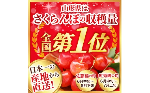 令和9年産】さくらんぼ 紅秀峰 500g 2L玉 ギフト箱入 秀品 山形県産