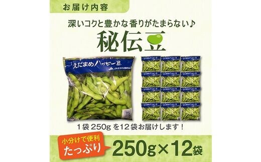 令和4年産 山形県産【秘伝豆】3キロ - 野菜