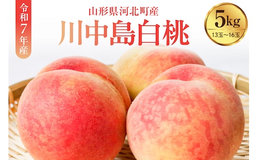 【令和8年産】川中島白桃 5kg（特秀 13玉～16玉）山形県河北町産 【河北町観光物産協会】 特秀 川中島 ka002-002-r8