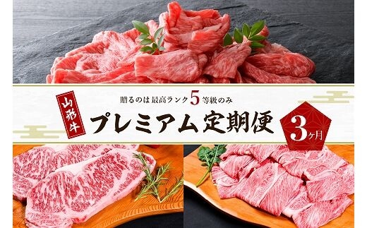 【数量限定】山形牛 最高級 プレミアム3ヶ月定期便 ～贈るのは【最高ランク】5等級のみ！～
