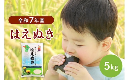 【令和7年産米】2026年1月上旬発送 はえぬき5kg 山形県産 【JAさがえ西村山】