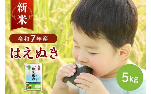 【令和7年産米】2025年12月下旬発送 はえぬき5kg 山形県産 【JAさがえ西村山】