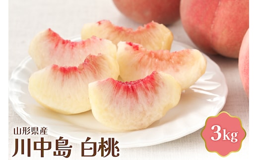 【令和8年産】 川中島白桃 3kg【JAさがえ西村山】 ka008-012e-r8