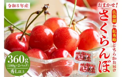 【令和8年産】おまかせさくらんぼ「佐藤錦or紅秀峰」秀Ｌ以上 360g （180gフードパック×2パック）【JAさがえ西村山】 ka008-110e