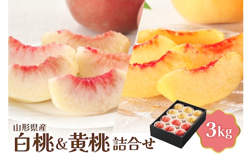 【令和8年産】白桃＆黄桃詰め合わせ 3kg 【JAさがえ西村山】 山形県 河北町 詰め合わせ 食べ比べ 人気 桃 白桃 黄桃 ka008-112e
