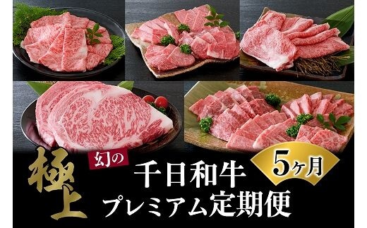 【数量限定】★肉の至宝★ 幻の山形牛【千日和牛】旨味とろける極上和牛5ヶ月定期便