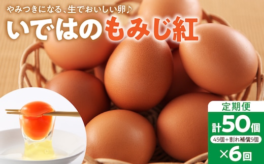 【毎月定期便・全6回】卵 いではのもみじ紅 50個入（破損補償5個含む）×6回