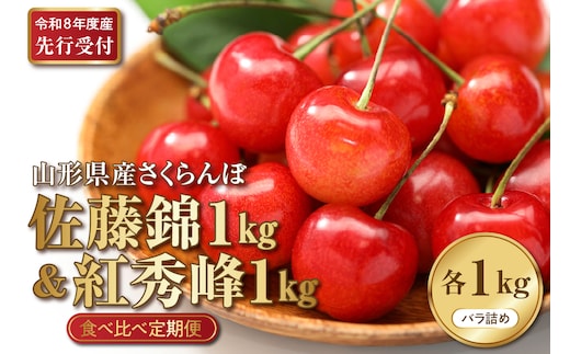 【2026年産先行予約】さくらんぼ食べ比べ2回定期便 「佐藤錦」と「紅秀峰」 各1㎏(500g×2） 山形県河北町産 【晴天畑】 さくらんぼ 贈答 ギフト 秀品 先行予約 食べ比べ 令和8年産 ka073-011