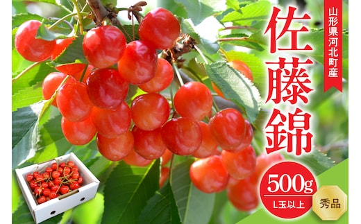 【令和9年産】さくらんぼ 佐藤錦 500g L玉以上 ギフト箱入 秀品 山形県産【山形eLab】 ka074-051