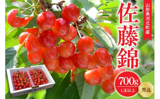 【令和8年産】さくらんぼ 佐藤錦 700g(350g×2パック) L玉以上 ギフト箱入 秀品 山形県産【山形eLab】 ka074-033