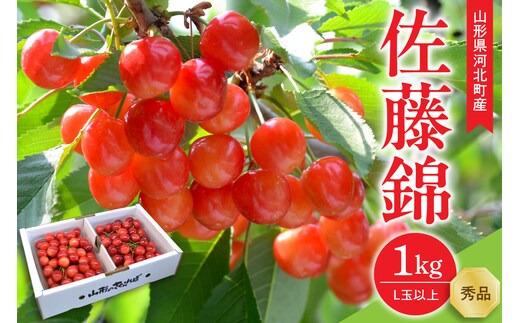 【令和8年産】さくらんぼ 佐藤錦1kg(500g×2パック) L玉以上 ギフト箱入 秀品 山形県産【山形eLab】 ka074-034