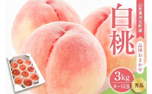 【令和8年産】白桃 品種おまかせ 3kg (8～12玉前後) ギフト箱入 秀品 山形県産 【山形eLab】 ka074-008-r8