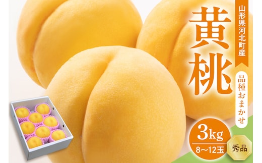 【令和8年産】黄桃 品種おまかせ 3kg (8～12玉前後) ギフト箱入 秀品 山形県産 【山形eLab】 ka074-009-r8