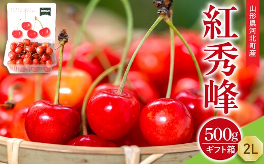 【令和9年産】さくらんぼ 紅秀峰 500g 2L玉 ギフト箱入 秀品 山形県産【山形eLab】 ka074-055