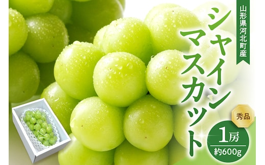 【令和8年産】 ぶどう シャインマスカット 1房入り（約600g前後） 秀品 山形県河北町産 【山形eLab】 ka074-022-r8