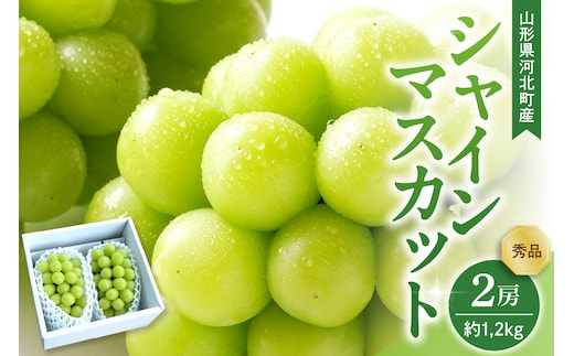 【令和8年産】 ぶどう シャインマスカット 2房入り（1房600g前後） 秀品 山形県河北町産【山形eLab】 ka074-023-r8