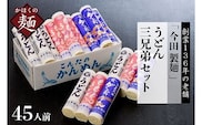 うどん【 創業 136年】粉にこだわり！老舗 「今田製麺」の うどん 三兄弟 セット （ 乾麺 ）45人前 （計15把）