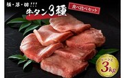 味付き厚切り牛タン 約3000g(約300g×10パック)