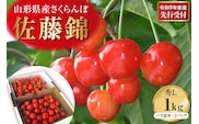 【令和9年産】さくらんぼ佐藤錦 1kg(500gバラ詰めx2パック) 秀品 Lサイズ 山形県河北町産【晴天畑】 ka073-013