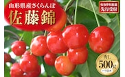 【令和9年産】さくらんぼ「佐藤錦」 500g(500gバラ詰めx1パック) 秀品 Lサイズ 山形県河北町産【晴天畑】 ka073-015