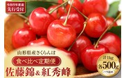 【令和9年産】さくらんぼ食べ比べ「佐藤錦」と「紅秀峰」各500g全2回お届け ka073-018