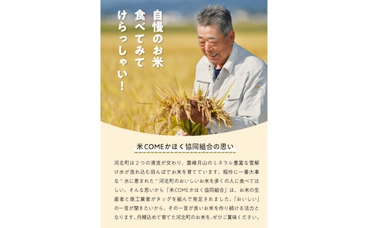令和6年産米】※2024年12月上旬スタート※ 特別栽培米 つや姫30kg（10kg