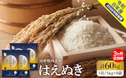 【令和8年産米】2027年1月中旬発送 はえぬき60kg（20kg×3ヶ月）毎月定期便  山形県産 【米comeかほく協同組合】 ka024-113d-r8-01032