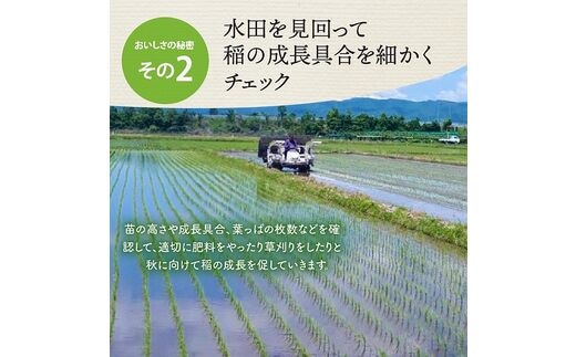 令和6年産米】※2025年3月上旬スタート※ 特別栽培米 つや姫30kg（10kg×3