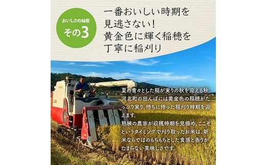 令和5年産米】2023年12月上旬発送 特別栽培米 つや姫10kg（5kg×2袋