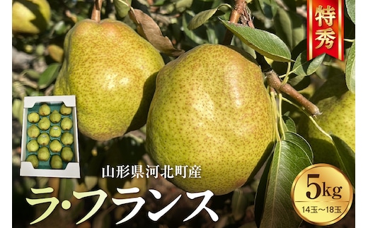 【令和8年産】食べ頃がわかる！ 洋梨「ラ・フランス」 特秀 約5kg 山形県河北町産 【河北町観光物産協会】