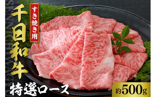 千日和牛 特選ロース すき焼き用 約500g（ 山形牛 ）