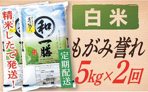 【定期便】【白米】 令和7年産 もがみ誉れ 5kg (5kg×1) 2回配送