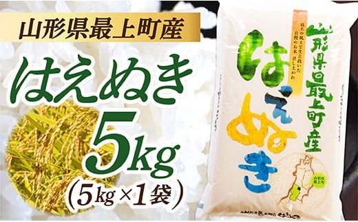 令和7年産 山形県産 はえぬき 5kg（5kg×1袋） within2025