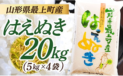 令和8年産予約 山形県産 はえぬき 20kg (5kg×4袋)