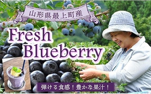 【冷凍】最上町産ブルーベリー1kg ※発送は9月～3月になります。