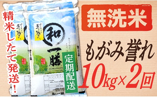【定期便】【無洗米】 令和7年産 もがみ誉れ 10kg (5kg×2) 2回配送 