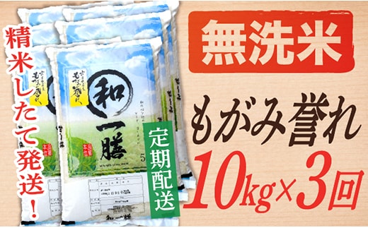 【定期便】【無洗米】 令和7年産 もがみ誉れ 10kg (5kg×2) 3回配送 