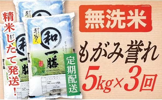 【定期便】【無洗米】 令和7年産 もがみ誉れ 5kg (5kg×1) 3回配送
