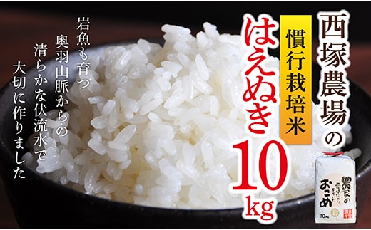【令和8年産】慣行栽培米 はえぬき 白米 10kg×1袋
