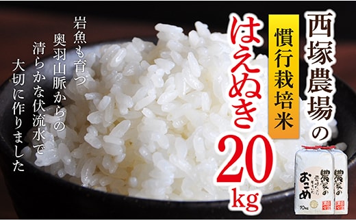 【令和8年産】慣行栽培米 はえぬき 白米 20kg(10kg×2袋)