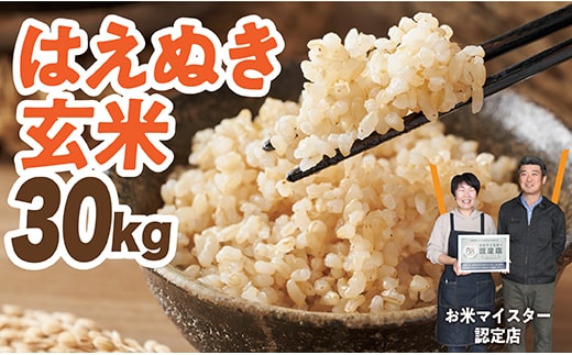 令和7年産 はえぬき 玄米 30kg×1袋
